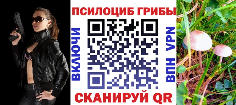 MEGA вход  закладки  Белозерск  Галлюциногенные грибы Cubensis 
